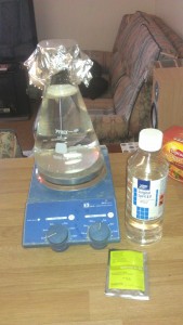 1Litre Starter on Stirplate