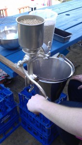 Corona Hand Mill & Raw Wheat from the barn