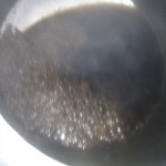 Indestructible Dark Ale